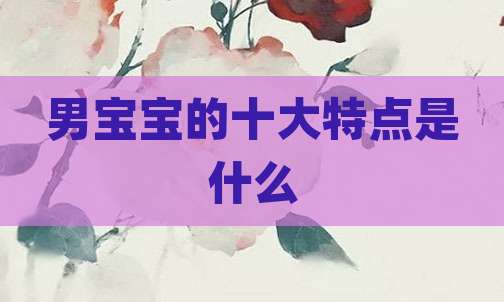 男宝宝的十大特点是什么