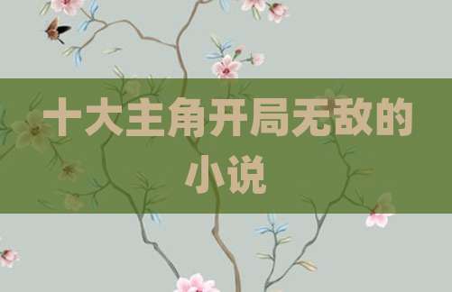 十大主角开局无敌的小说
