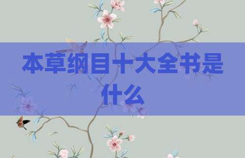 本草纲目十大全书是什么