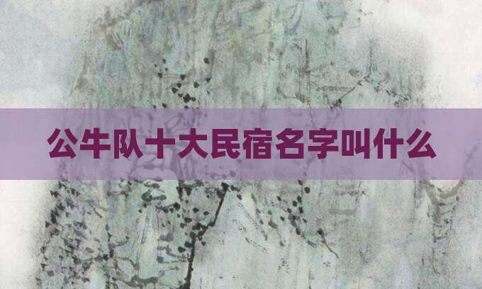 公牛队十大民宿名字叫什么