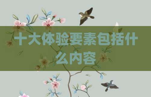 十大体验要素包括什么内容