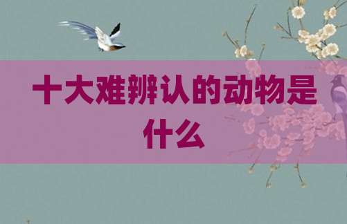 十大难辨认的动物是什么