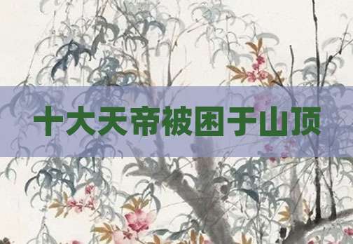 十大天帝被困于山顶