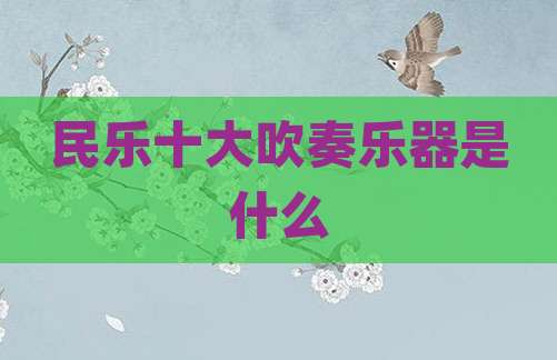 民乐十大吹奏乐器是什么