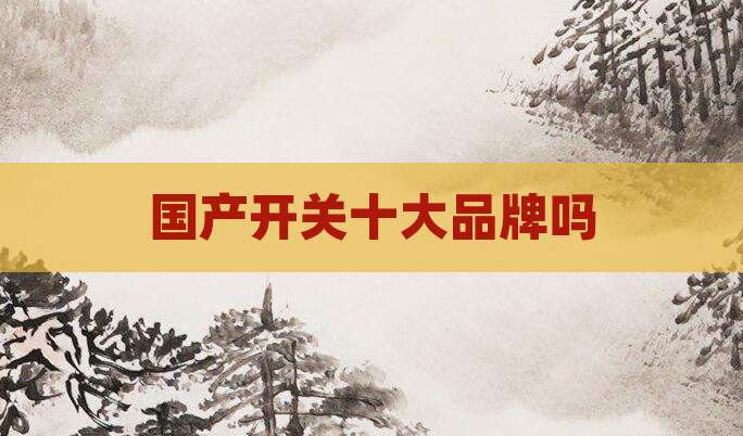 国产开关十大品牌吗