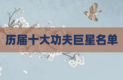 历届十大功夫巨星名单