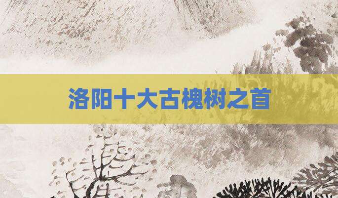 洛阳十大古槐树之首