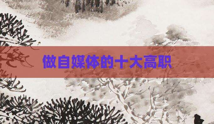 做自媒体的十大高职
