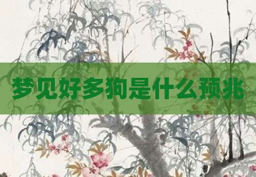 梦见好多狗是什么预兆