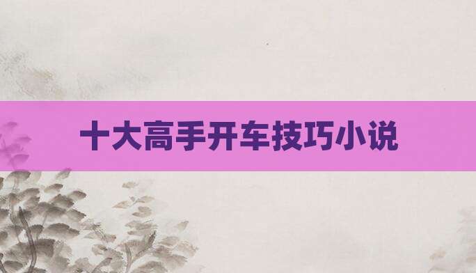 十大高手开车技巧小说