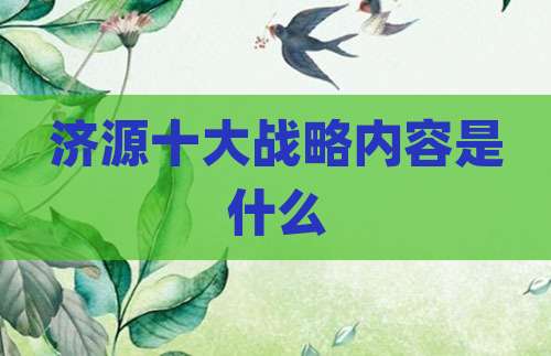 济源十大战略内容是什么