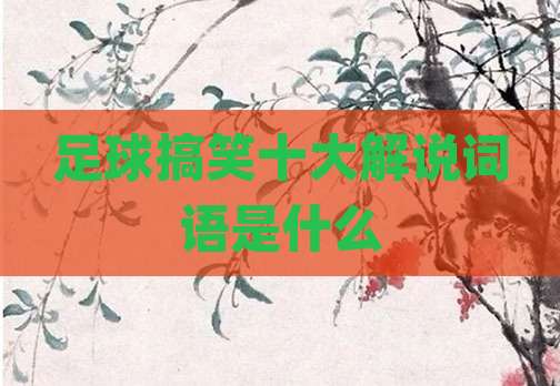 足球搞笑十大解说词语是什么