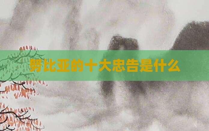 努比亚的十大忠告是什么