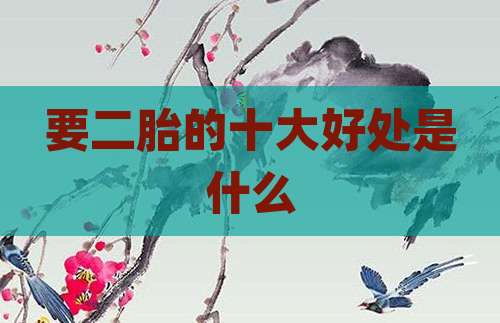 要二胎的十大好处是什么