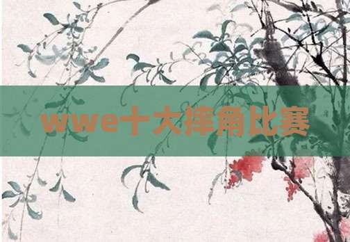 wwe十大摔角比赛