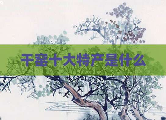 干窑十大特产是什么