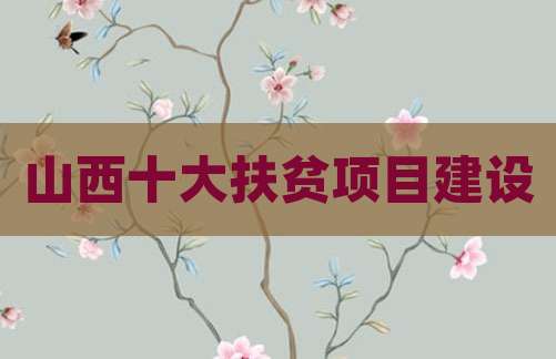 山西十大扶贫项目建设