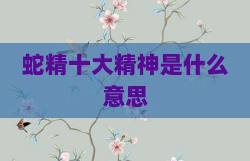 蛇精十大精神是什么意思