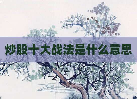 炒股十大战法是什么意思