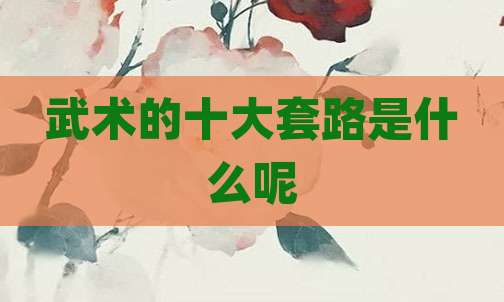 武术的十大套路是什么呢