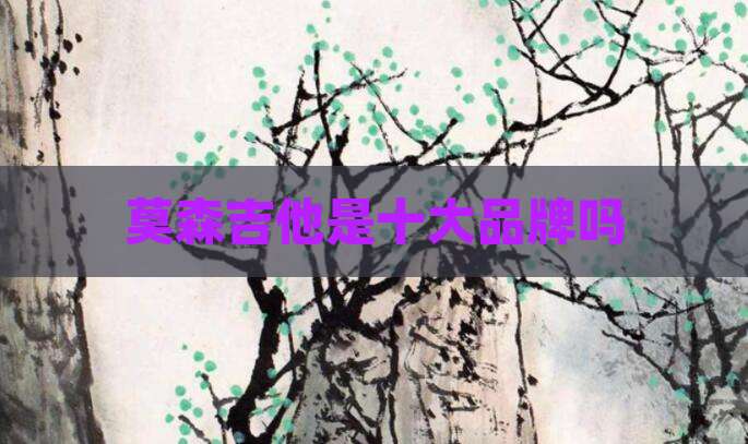 莫森吉他是十大品牌吗