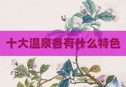 十大温泉各有什么特色