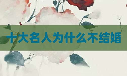 十大名人为什么不结婚