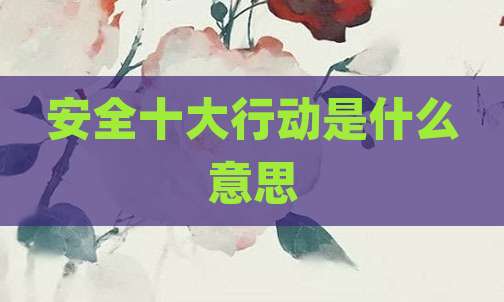 安全十大行动是什么意思