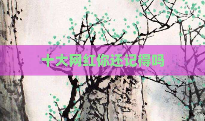 十大网红你还记得吗