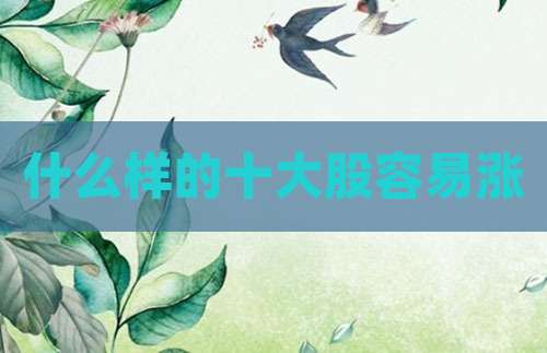 什么样的十大股容易涨