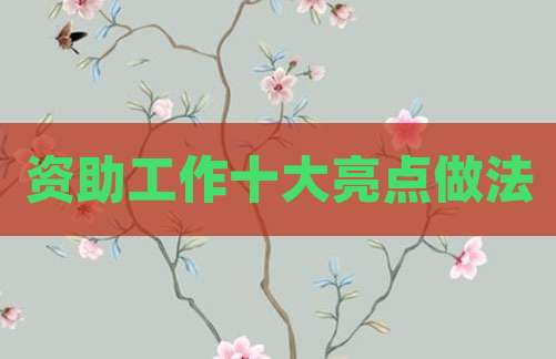 资助工作十大亮点做法