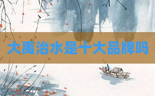 大禹治水是十大品牌吗