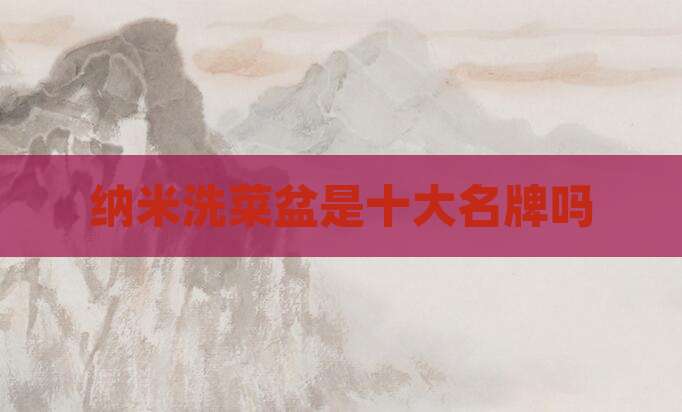 纳米洗菜盆是十大名牌吗