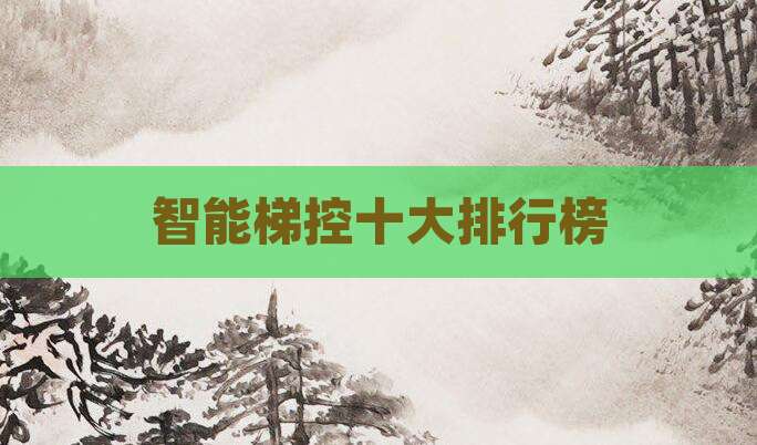 智能梯控十大排行榜