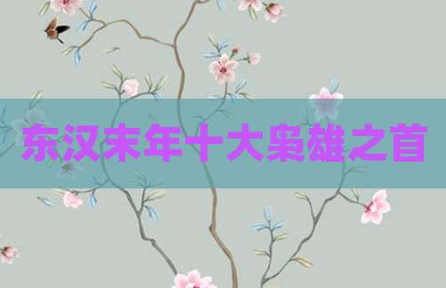 东汉末年十大枭雄之首
