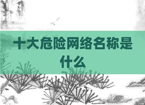 十大危险网络名称是什么
