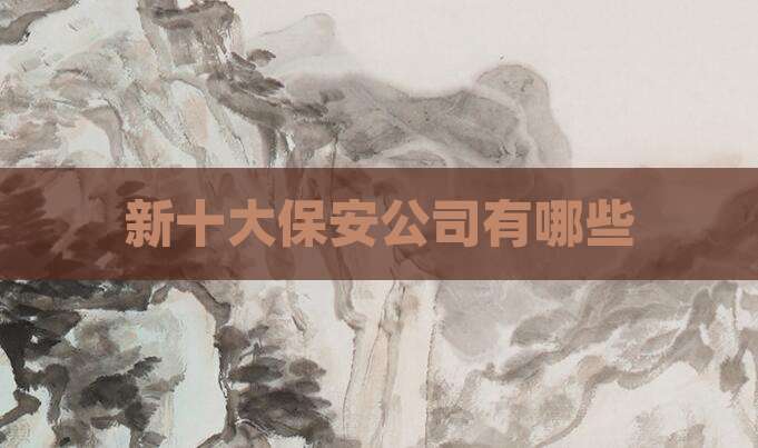 新十大保安公司有哪些