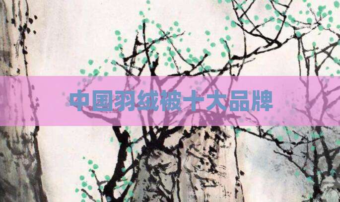 中国羽绒被十大品牌