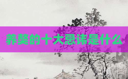 养獒的十大忌讳是什么