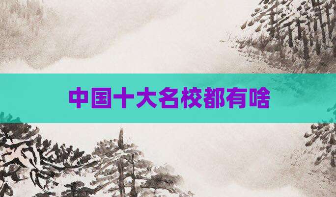 中国十大名校都有啥