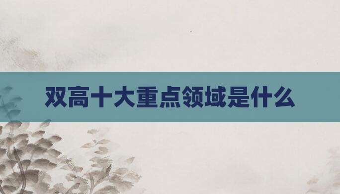 双高十大重点领域是什么