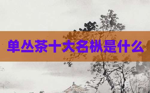 单丛茶十大名枞是什么