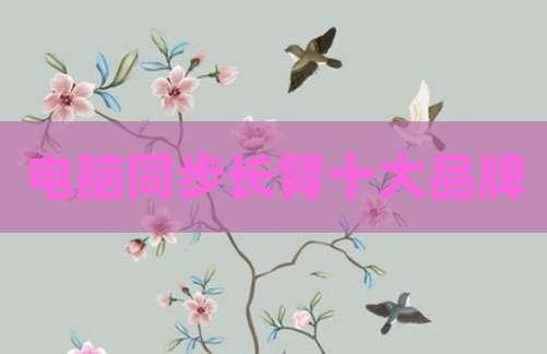 电脑同步长臂十大品牌