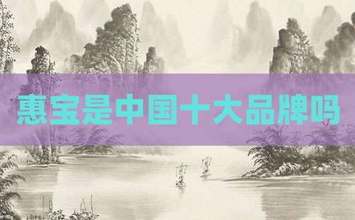 惠宝是中国十大品牌吗
