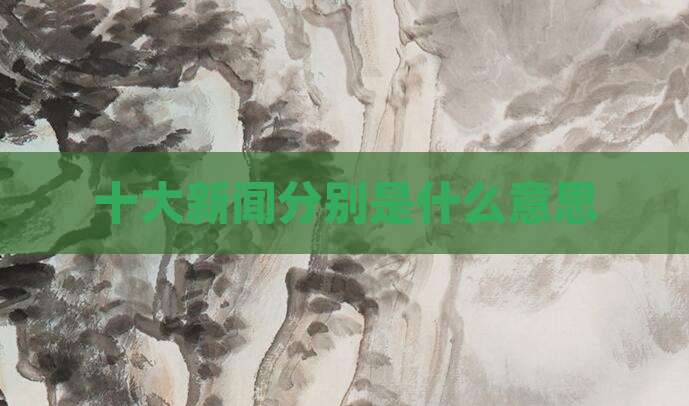 十大新闻分别是什么意思