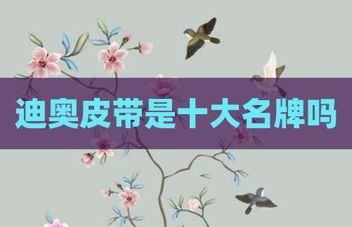 迪奥皮带是十大名牌吗