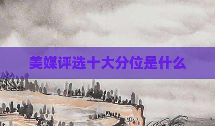 美媒评选十大分位是什么