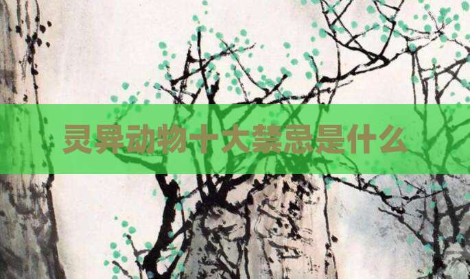 灵异动物十大禁忌是什么