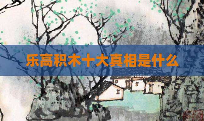 乐高积木十大真相是什么