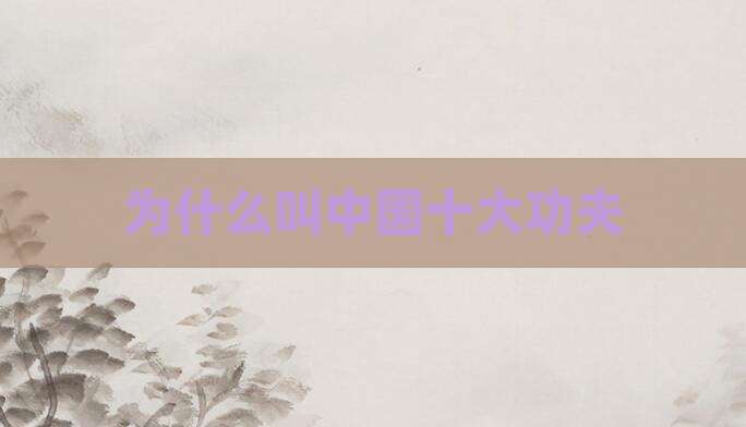 为什么叫中国十大功夫